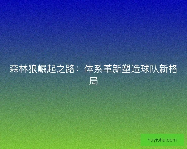 森林狼崛起之路：体系革新塑造球队新格局